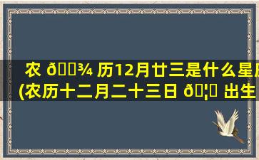 农 🌾 历12月廿三是什么星座(农历十二月二十三日 🦉 出生的是什么星座)